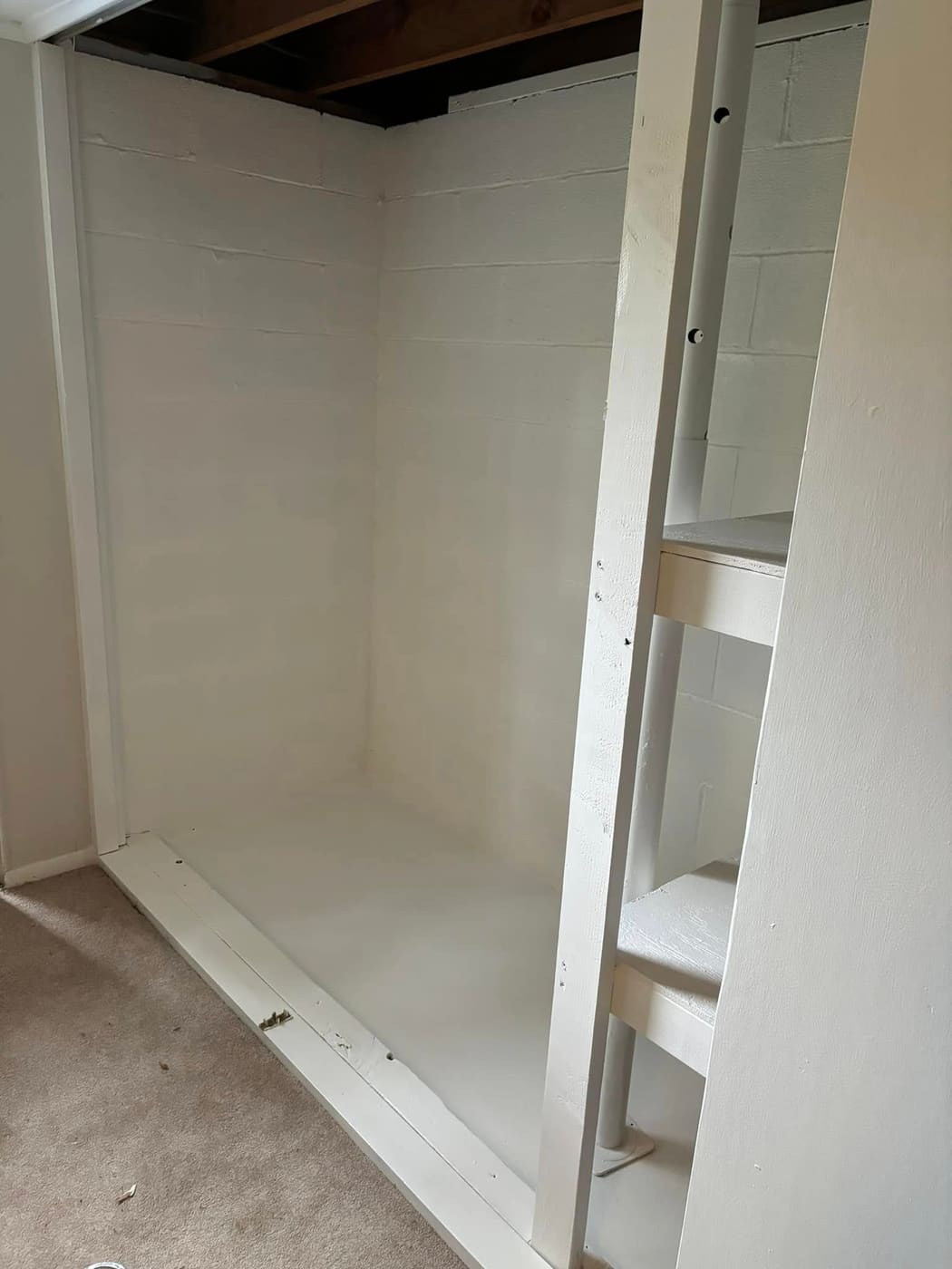 Repaired basement wall and new shelving