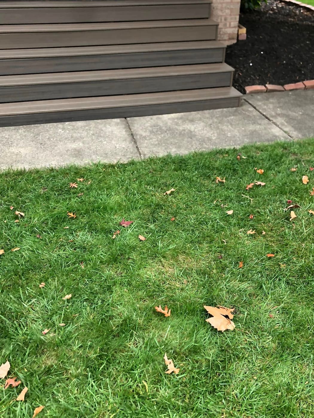 New composite front steps