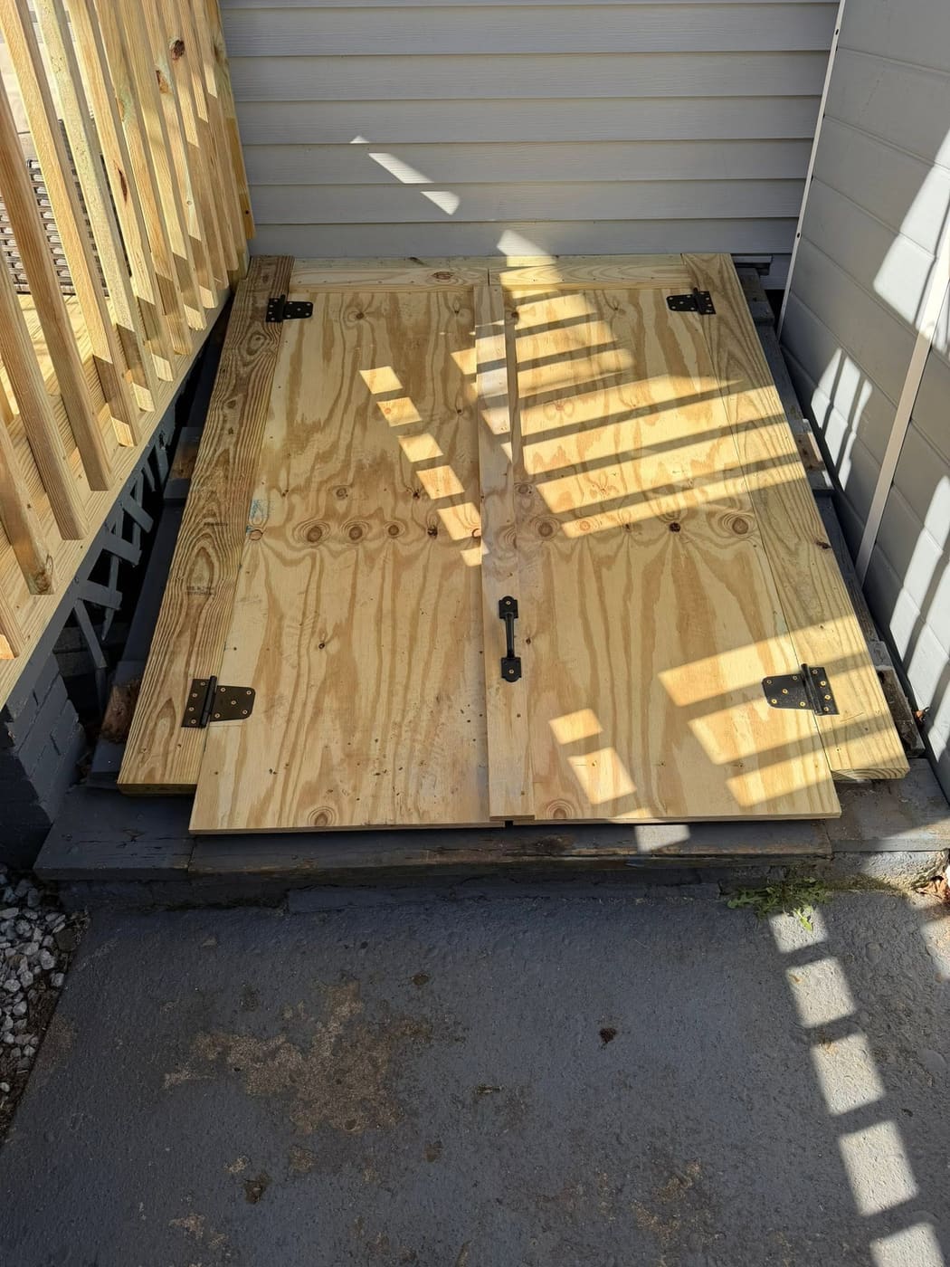 Small back deck with stairs and new basement doors