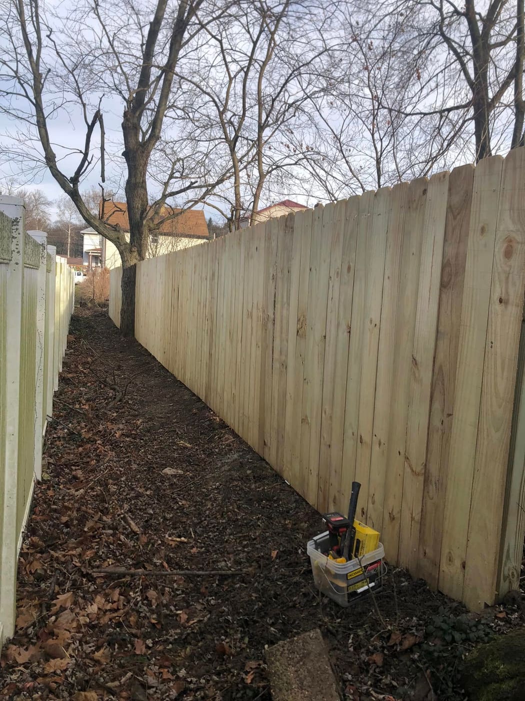 Wood privacy fence along a property line